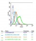 Fragilis Polyclonal Antibody